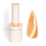 Cat Eye Nail Gel Polish 10ML