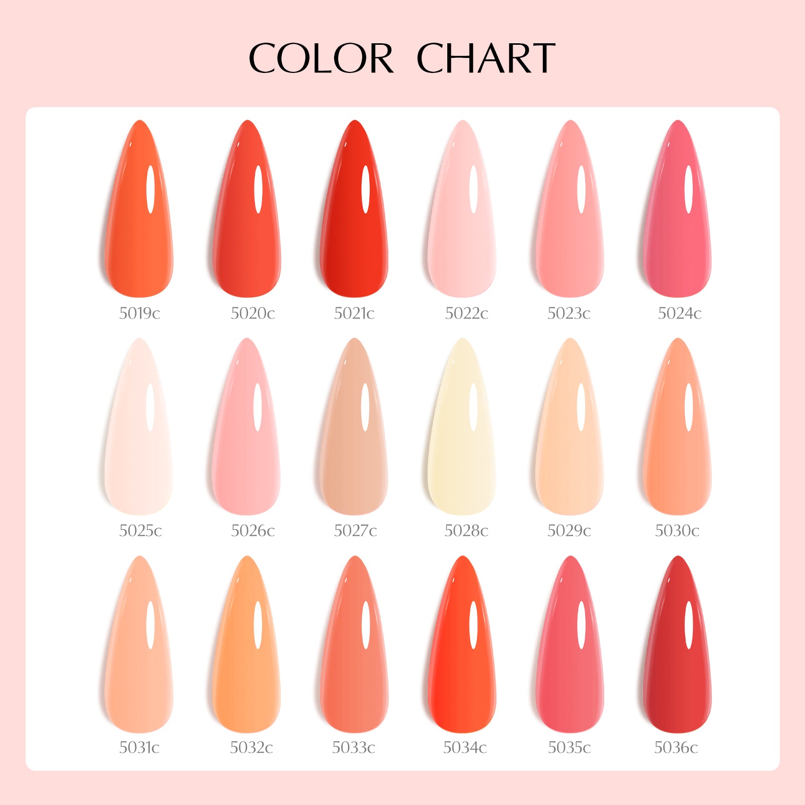 V2 Gel Polish Set 22 Pcs With Color Card