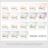 Nail Gel Polish 10ML SNOW LOTUS