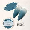 Venalisa Pat Ombre Gel Set (Gradient Effect With Sponge)