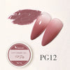 Venalisa Pat Ombre Gel Set (Gradient Effect With Sponge)