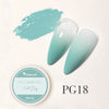 Venalisa Pat Ombre Gel Set (Gradient Effect With Sponge)
